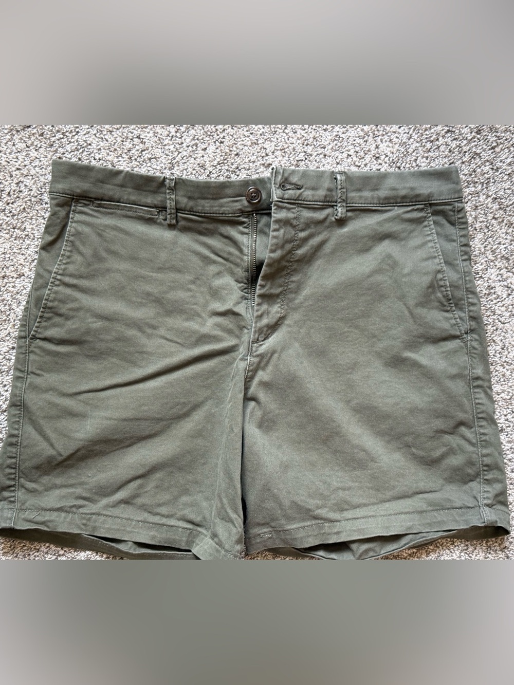 GAP Men's Olive Flat-Front Casual Shorts